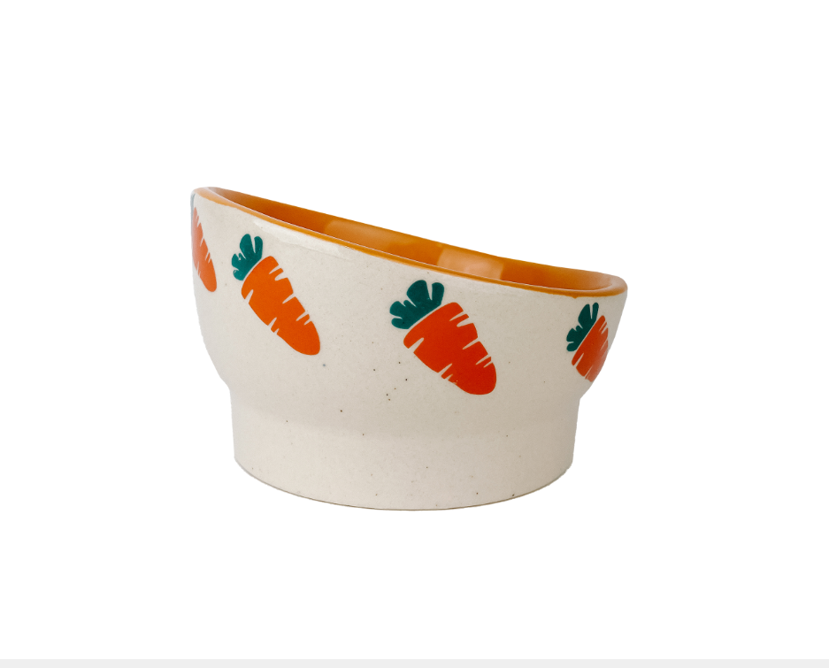 Ceramic Carrot Bowl