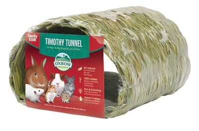 Timothy Tunnel